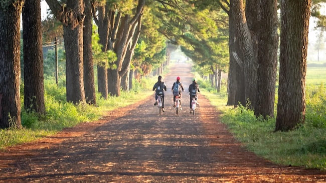 location velo lacanau